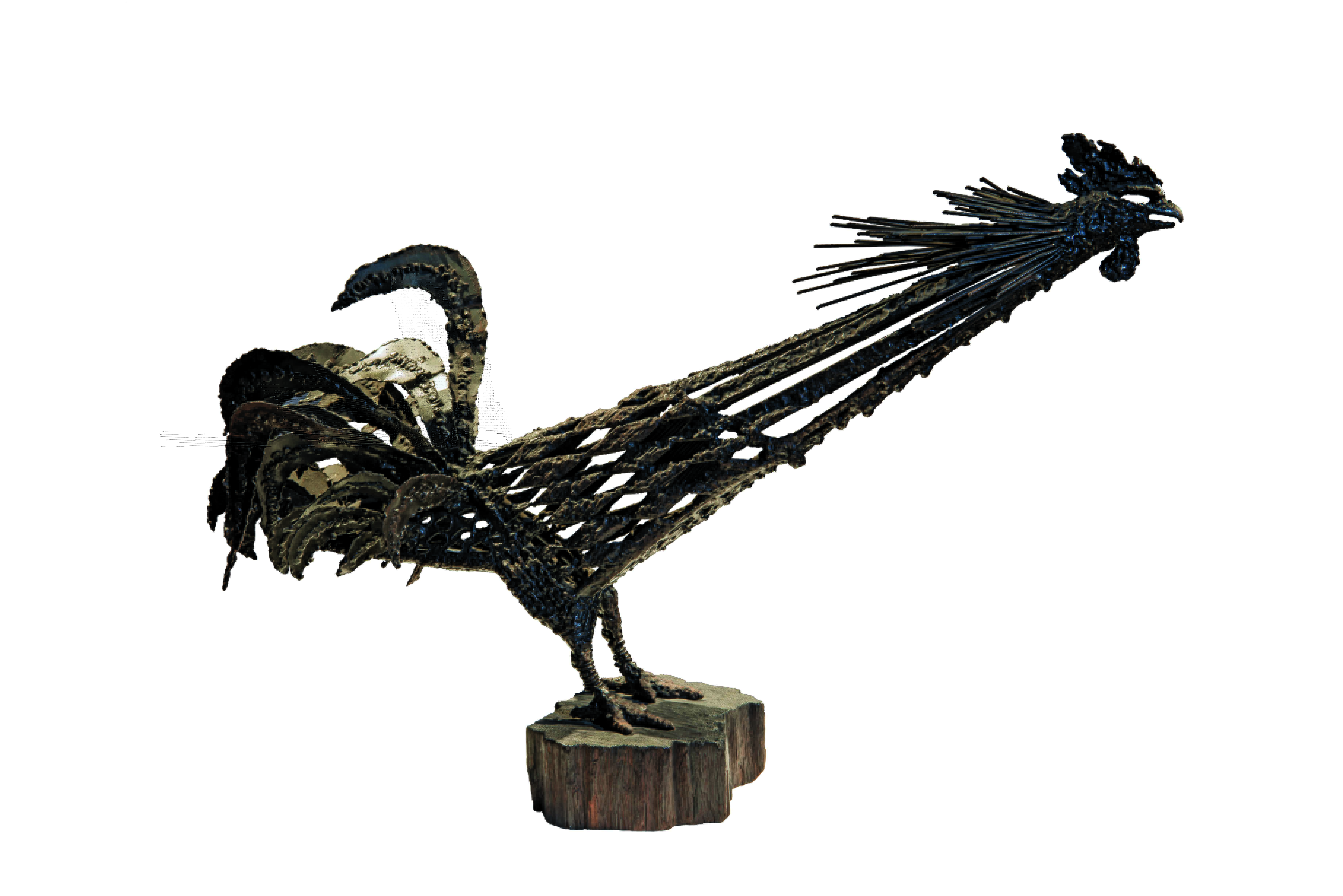 A_TBH9679 copy copy A_TBH9679 copy copy