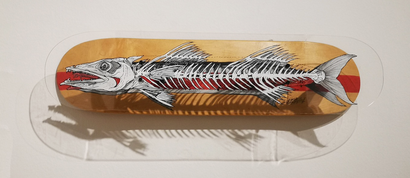 IMG_20190305_145430 IMG_20190305_145430