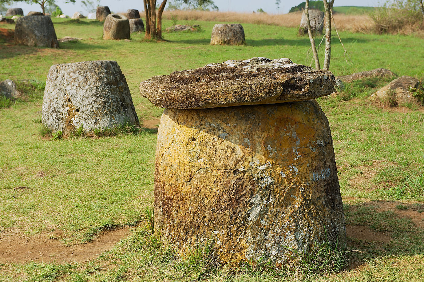 104502461_xl 104502461_xl