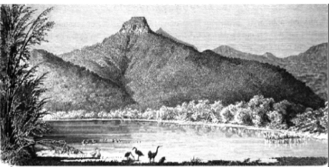 Screen Shot 2025-08-24 at 8.08.41 AM